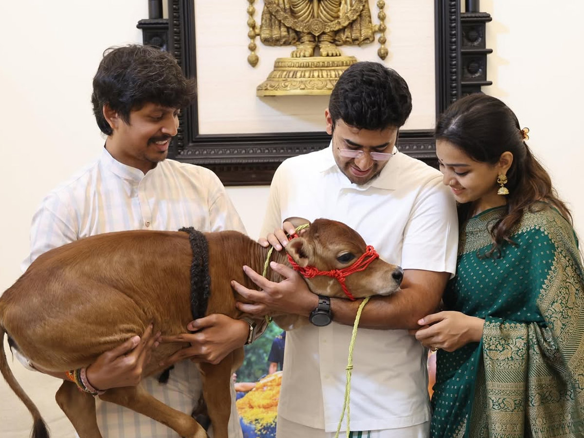 Tejasvi Surya, Sivasri Skandaprasad welcome New family member Beautiful Punganur cow Photos8