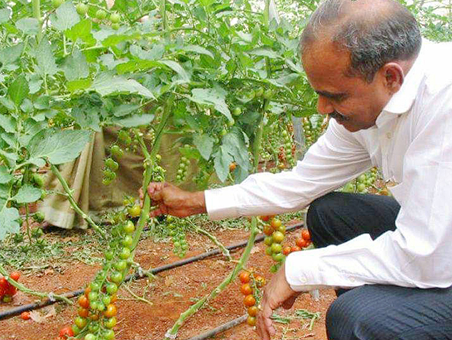 YS Rajasekhara Reddy Rare And Unseen Photos25