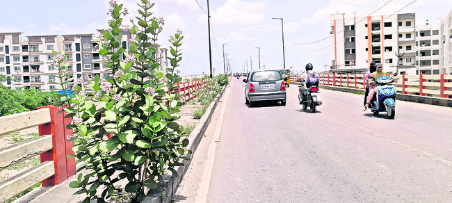 అంగుళమంగుళం లెక్క!1