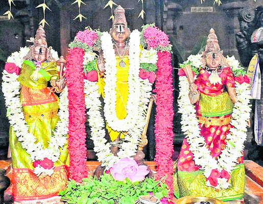 ఆణి రథోత్సవం1