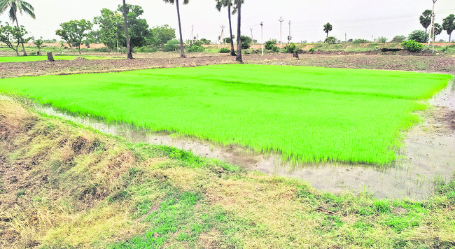 మూసీపై అన్నదాతల ఆశలు1