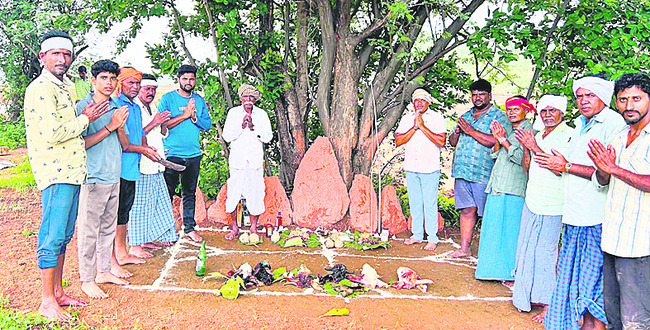 శీత్లాభవాని వేడుకలు1