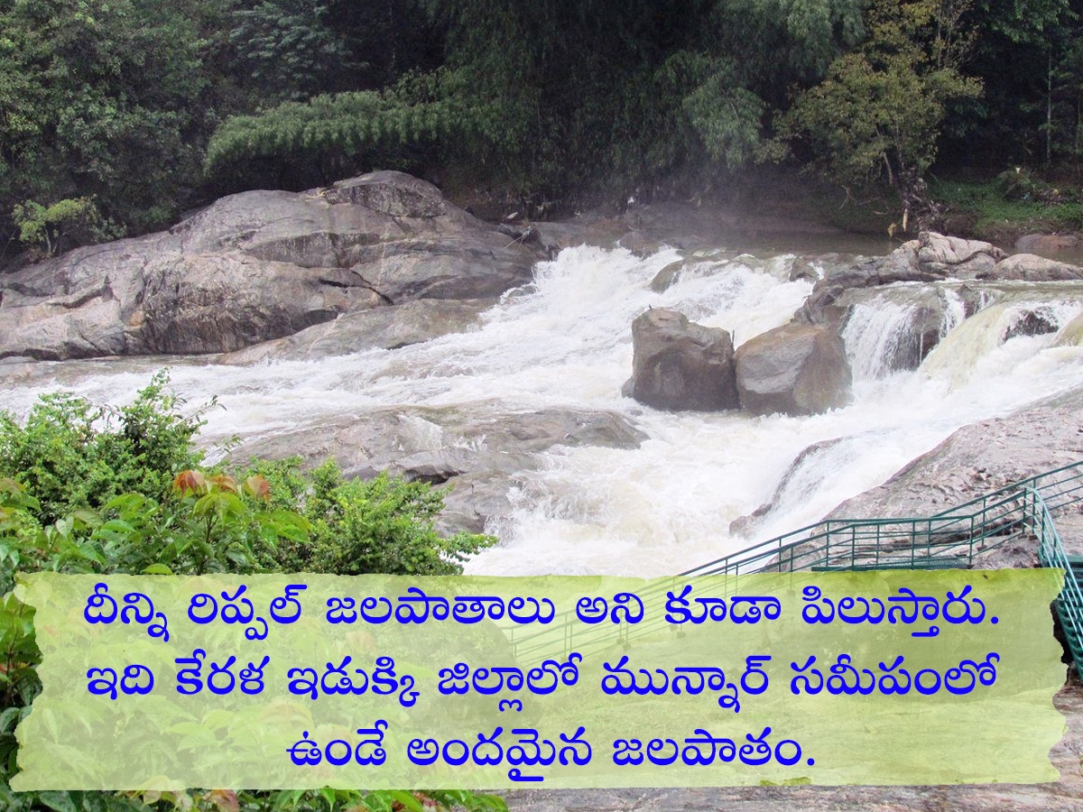 Tourists Must Visit Sreenarayanapuram Waterfalls Idukki Kerala: Photos2
