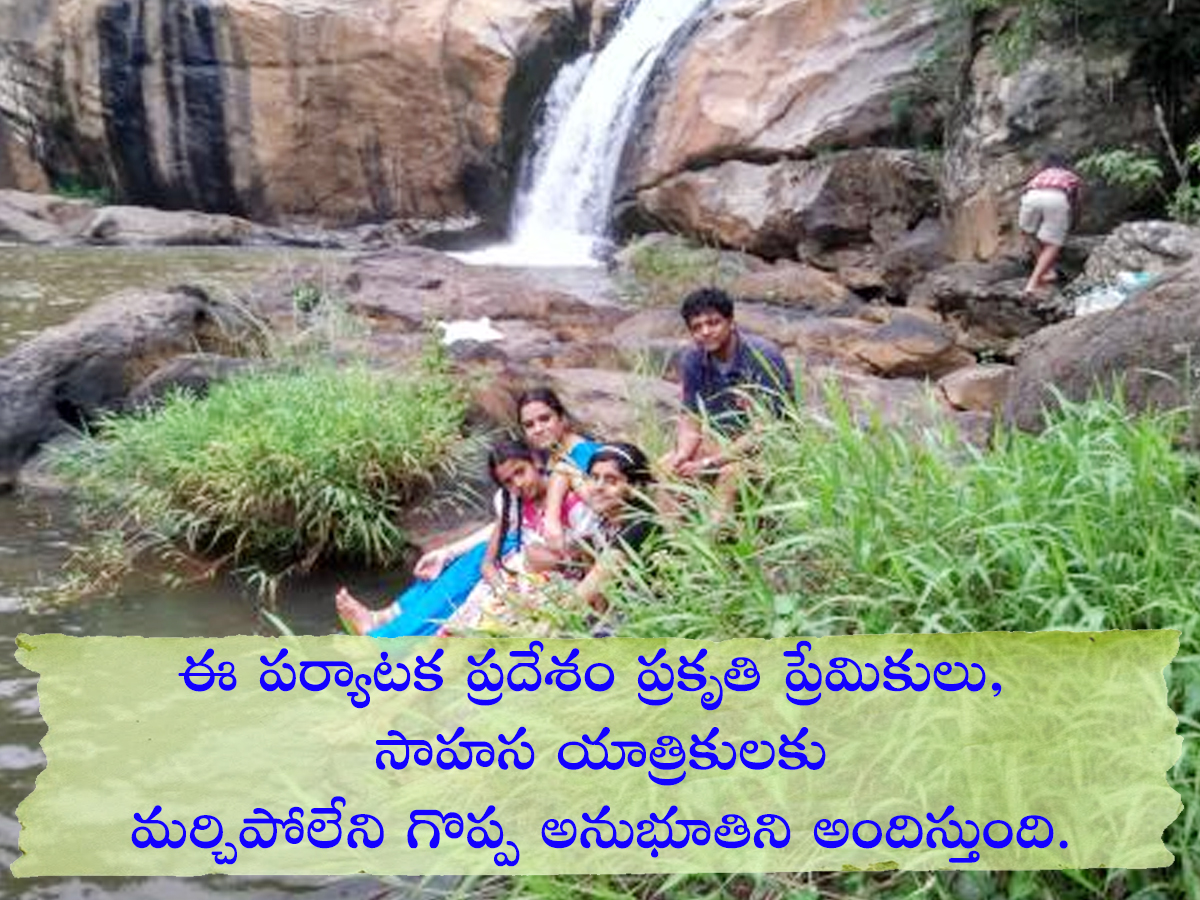 Tourists Must Visit Sreenarayanapuram Waterfalls Idukki Kerala: Photos3