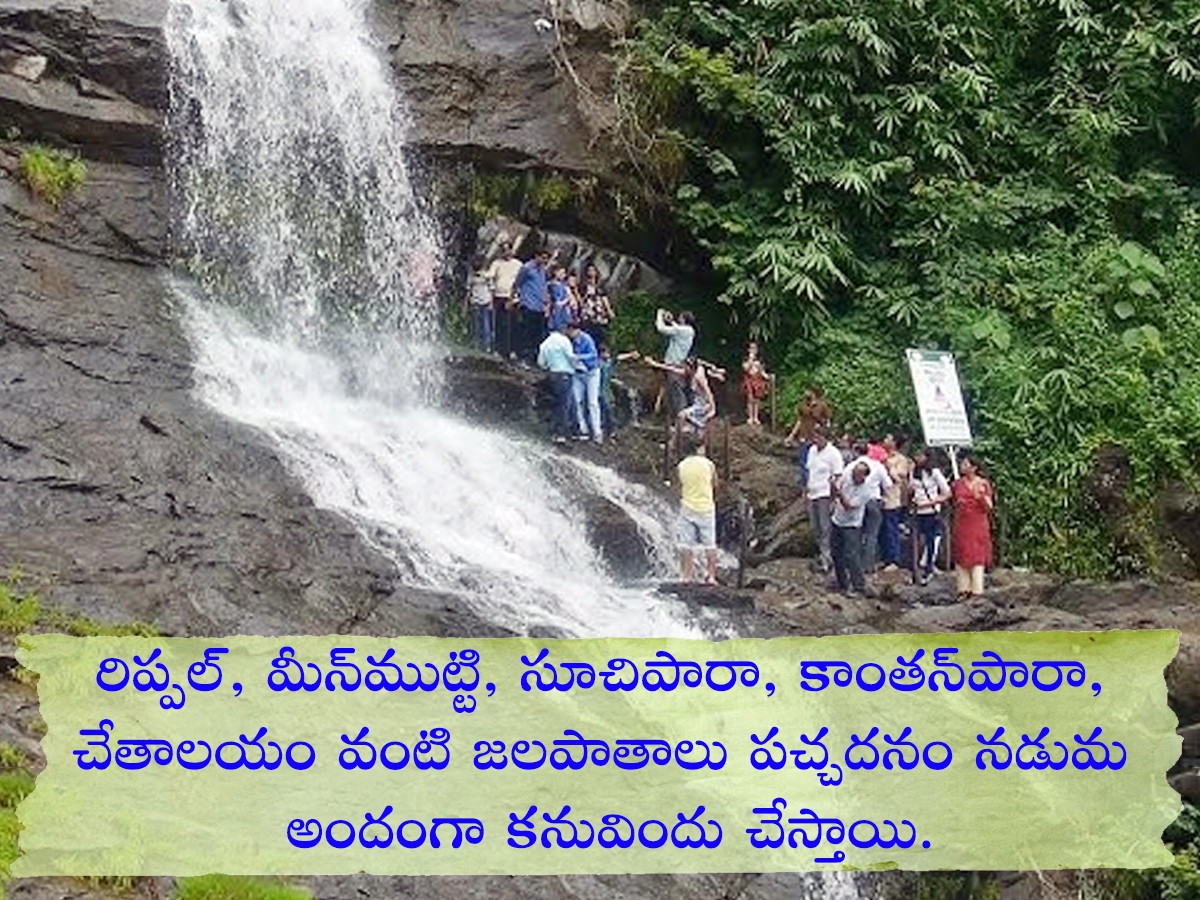 Tourists Must Visit Sreenarayanapuram Waterfalls Idukki Kerala: Photos4
