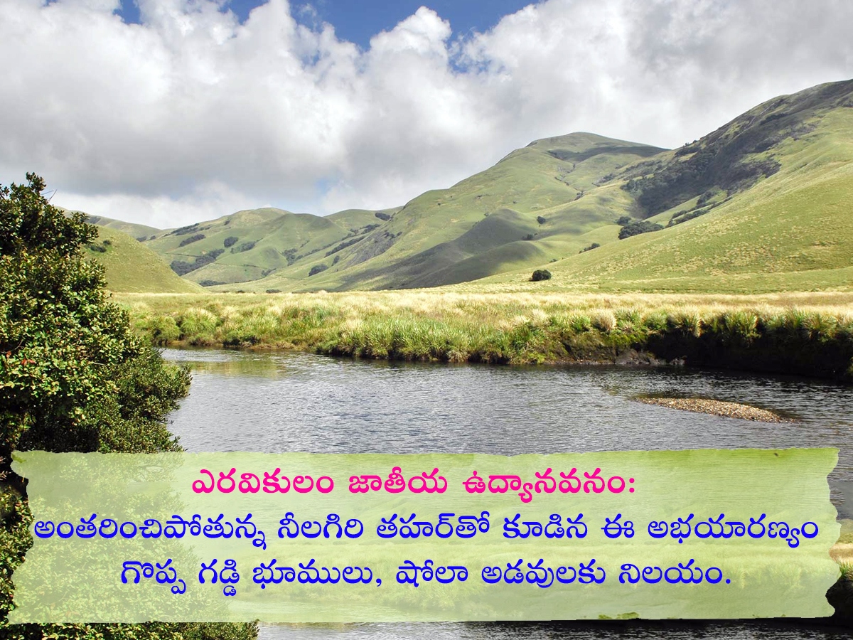 Tourists Must Visit Sreenarayanapuram Waterfalls Idukki Kerala: Photos5