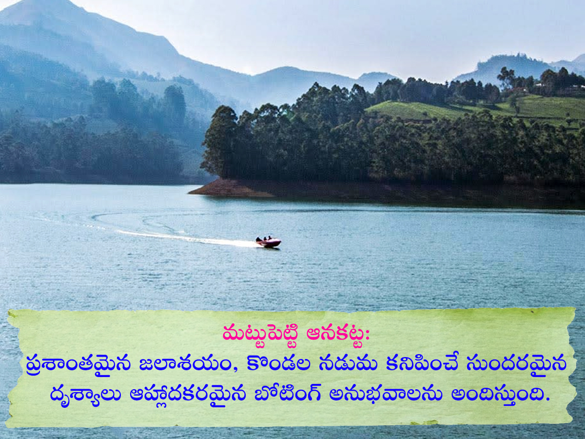 Tourists Must Visit Sreenarayanapuram Waterfalls Idukki Kerala: Photos6