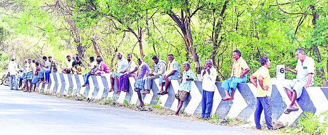 మామిడి గోడు వినరే! 1