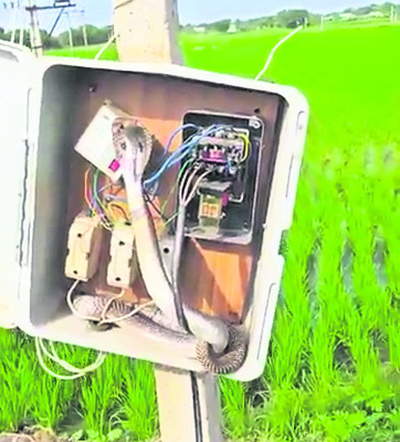 రైతులు జర భద్రం1