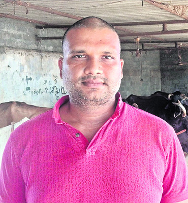 పాడి పరిశ్రమతో విజయపథం1