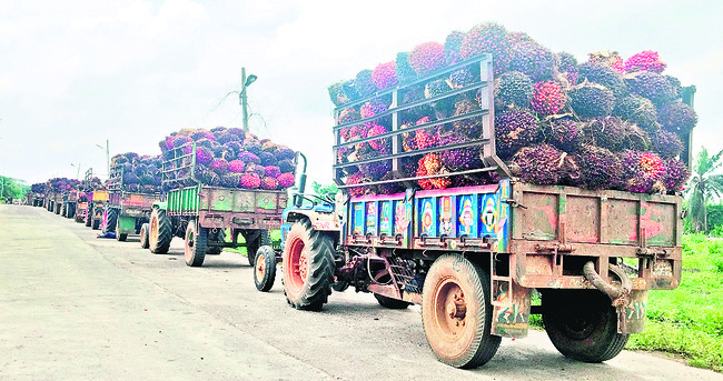 దిగుబడి.. తిరగబడి!1