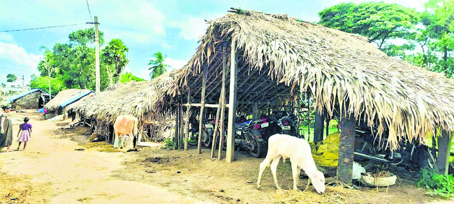 సర్వం స్వాహార్పణం1