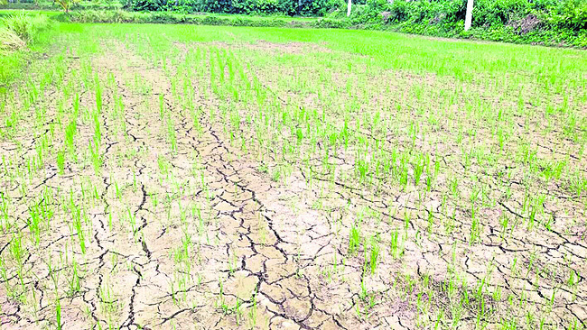 ఇదేం సాగునీటి సరఫరా? 2