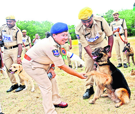 గమ్యంపై గురిపెడితే విజయం..1