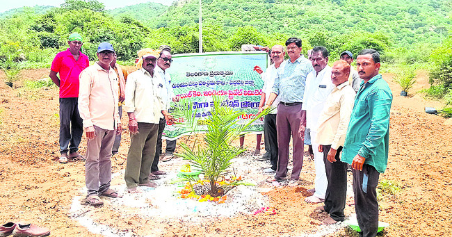 ఆయిల్‌పామ్‌ సాగుకు  ముందుకు రావాలి2