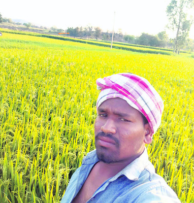 ఎకరానికి ఒక్కటే బస్తా..1