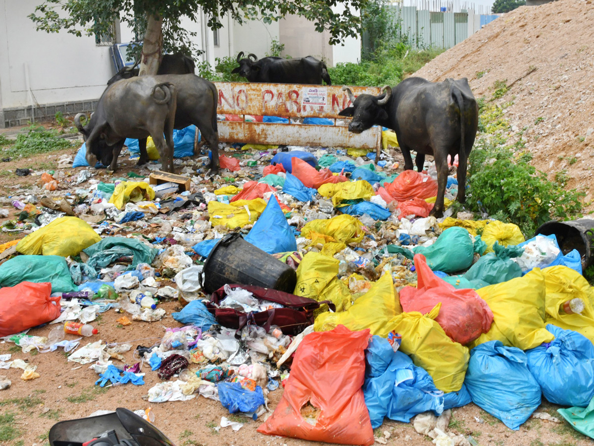 Best Photos of The Week in AP and Telangana Photo Gallery20