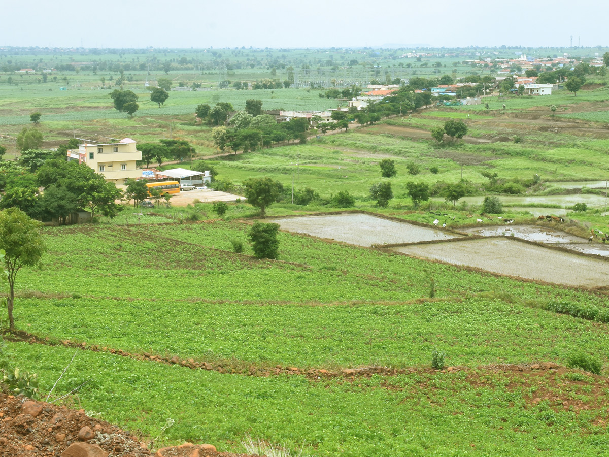 Best Photos of The Week in AP and Telangana Photo Gallery22