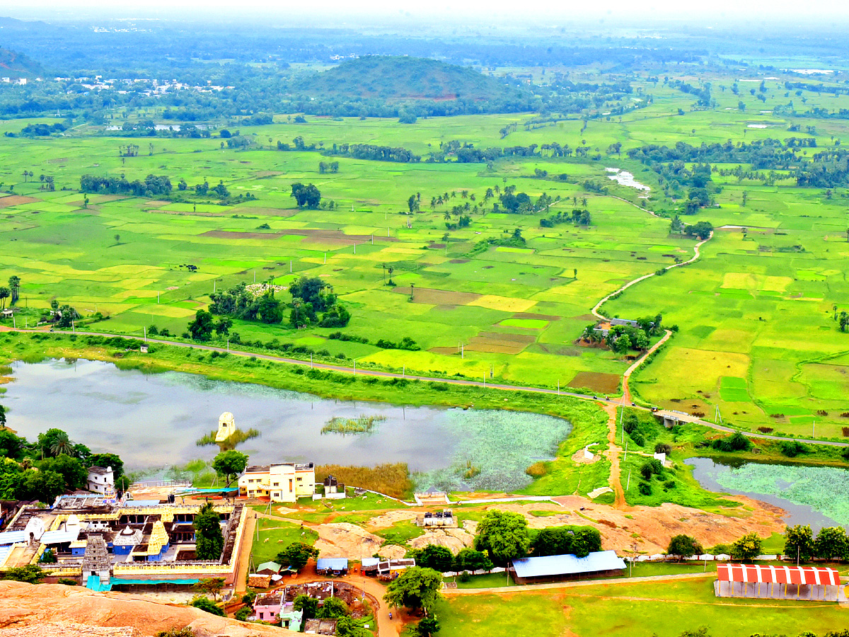 Best Photos of The Week in AP and Telangana Photo Gallery36