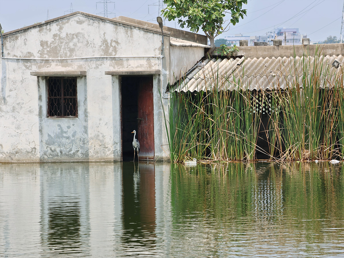 Best Photos of The Week in AP and Telangana Photo Gallery9