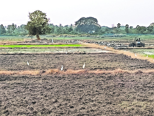 శృతి తప్పిన రుతురాగం2