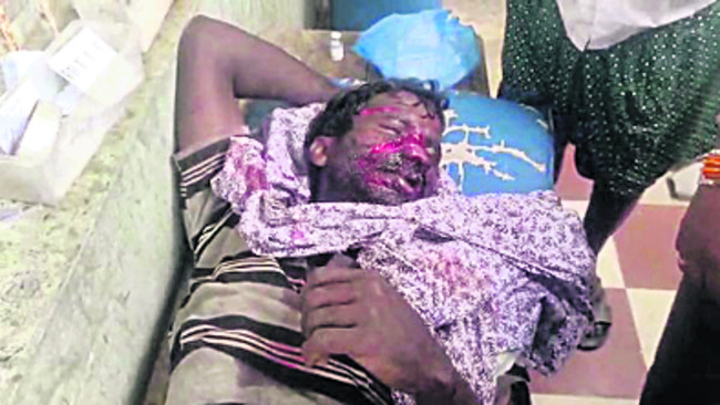 ఎలుగుబంటి దాడి 1