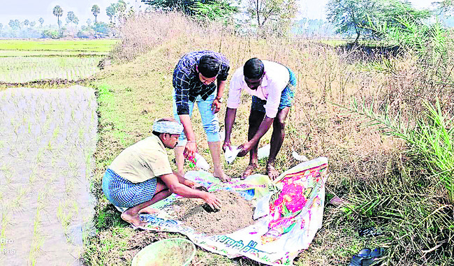 పంటకు ప్రయోజనకారి..1