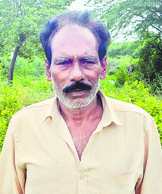 జాజితోటకు బొబ్బతెగులు సోకింది 2