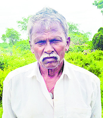 జాజితోటకు బొబ్బతెగులు సోకింది 3