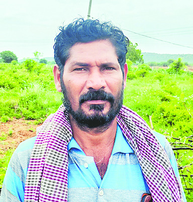 జాజితోటకు బొబ్బతెగులు సోకింది 1