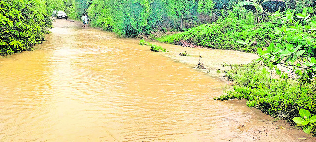 జిల్లాను వీడని వర్షాలు1