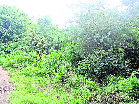 పాల సేకరణ1