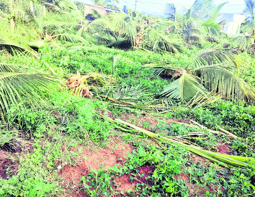 ప్రహసనంగా ఎఫ్‌ఏ–1 పరీక్షల విధానం 1