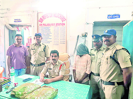 గంజాయి రవాణా గుట్టురట్టు1