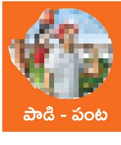 పశువుల్లో ఈనిక సమస్యలు 1