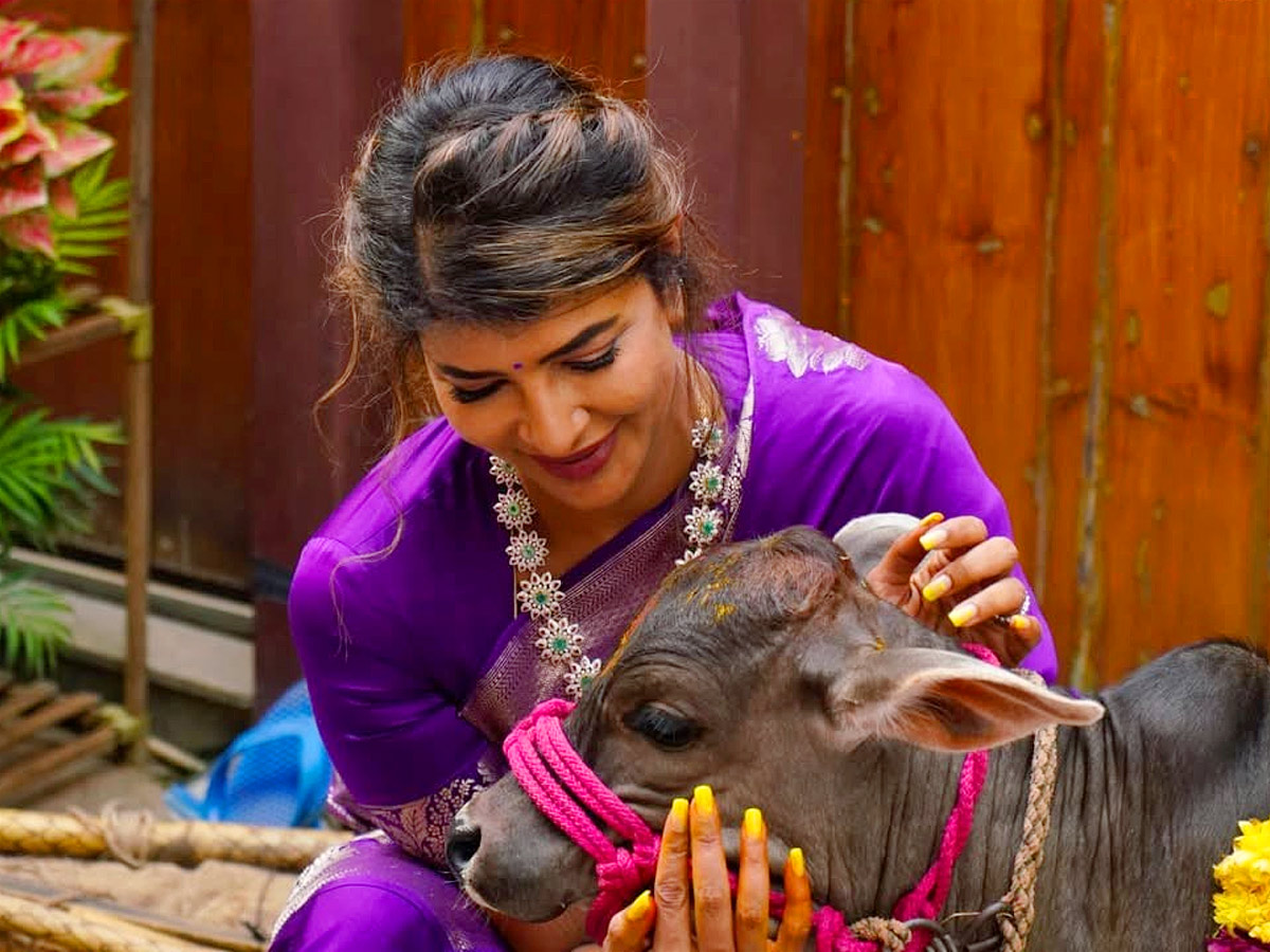 Manchu Lakshmi participated in cow worship under the Auspices of ISKCON Photos3