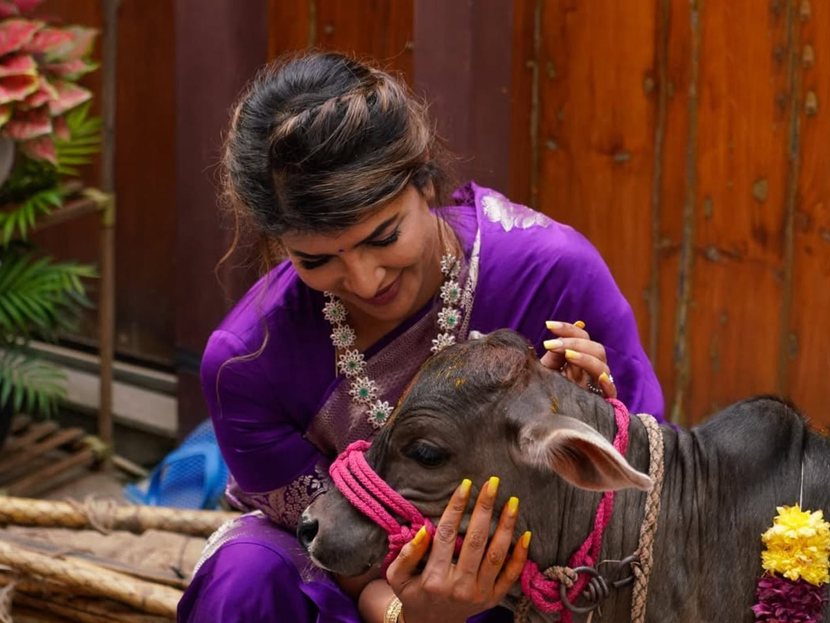 Manchu Lakshmi participated in cow worship under the Auspices of ISKCON Photos4