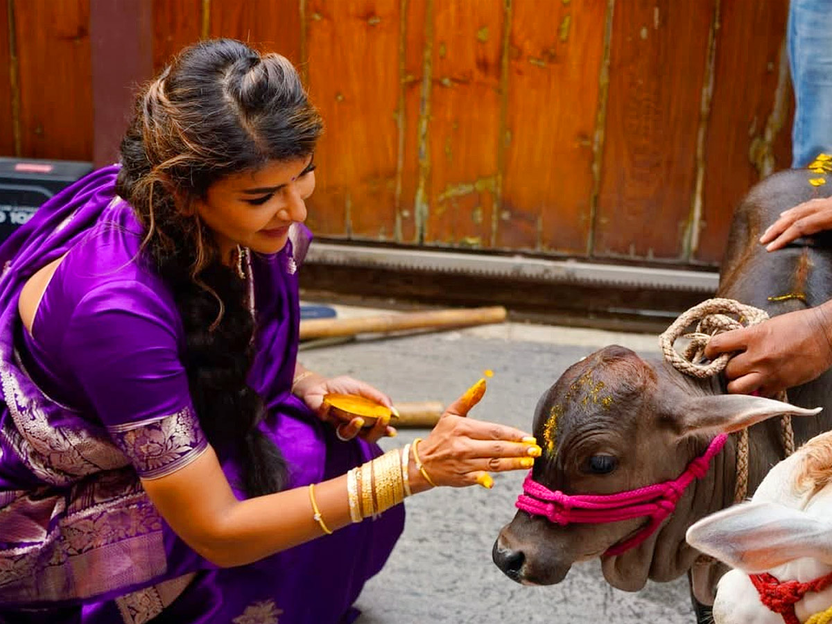 Manchu Lakshmi participated in cow worship under the Auspices of ISKCON Photos5