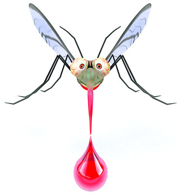 విజయనగరం3