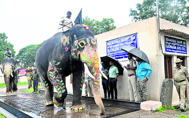 భీమా.. 5,465 కేజీలు1