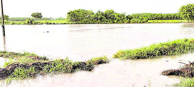 భారీ వర్షానికి పొంగిన వాగులు 1