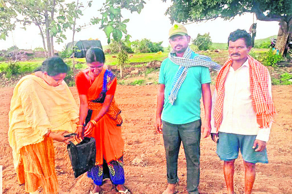 వరంగల్1