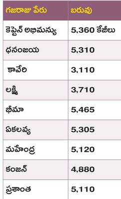 భీమా.. 5,465 కేజీలు3