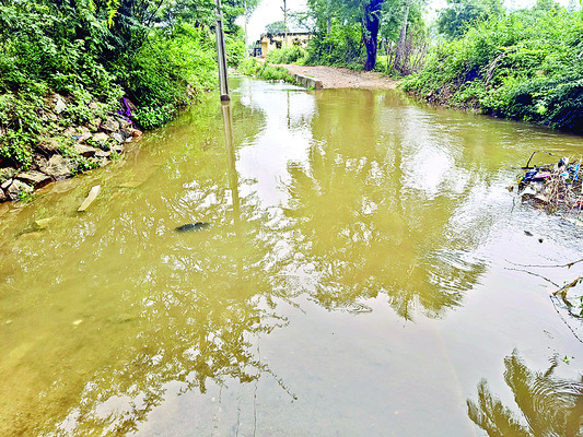 విస్తారంగా వర్షాలు1