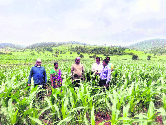 నేత్రపర్వంగా  రామయ్య నిత్యకల్యాణం1