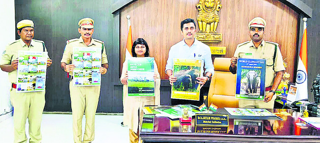 ఆల్బెండజోల్‌ మాత్రలను తప్పక తీసుకోవాలి3