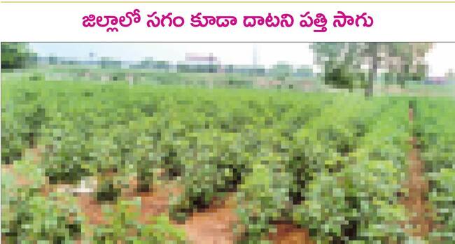 బుధవారం శ్రీ 13 శ్రీ ఆగస్టు శ్రీ 20251