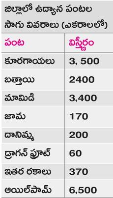 ఉద్యానానికి ఊతం 2