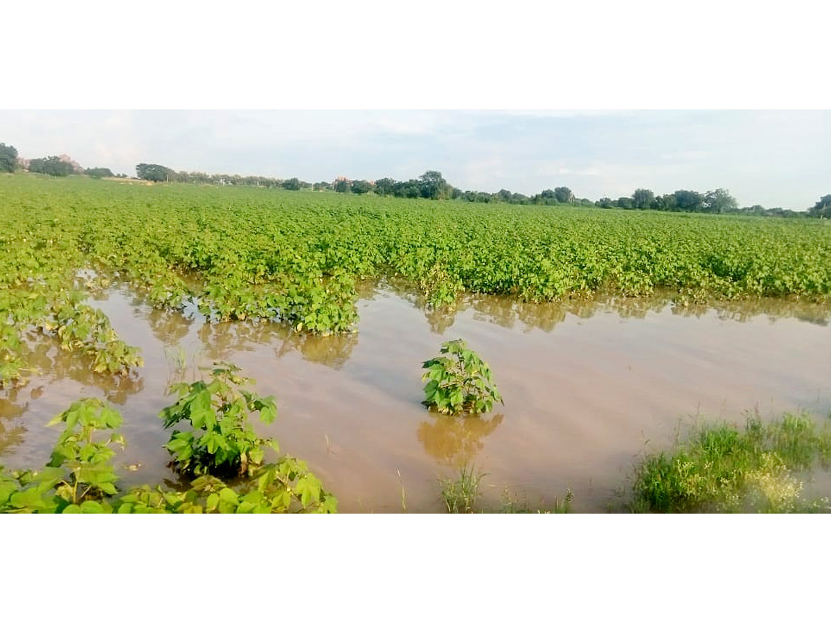 Heavy Rains In Telugu States Photos2