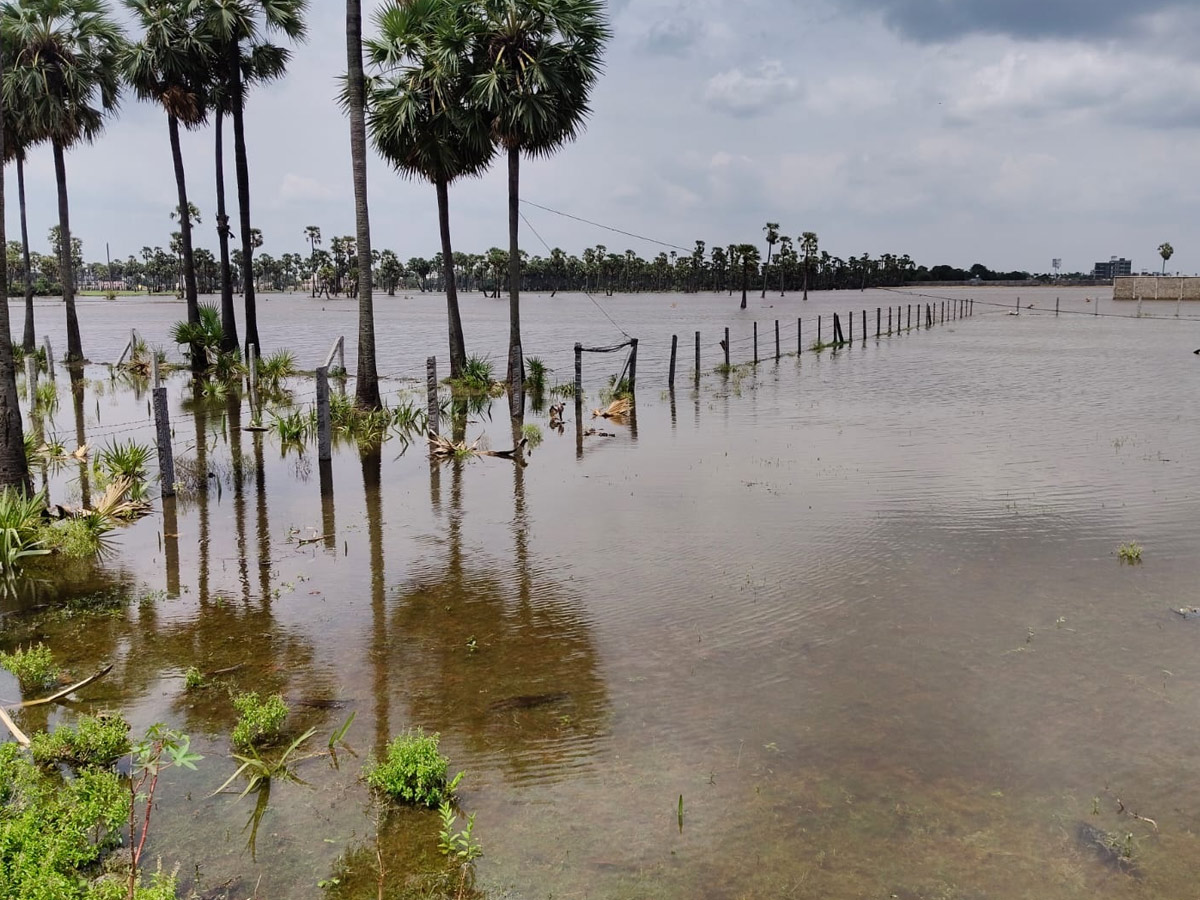 Heavy Rains In Telugu States Photos15